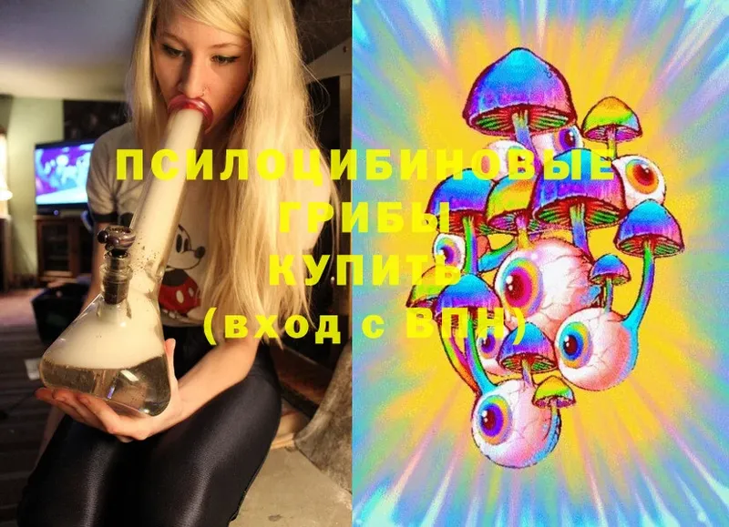 Псилоцибиновые грибы Cubensis  kraken зеркало  Озёры  купить наркоту 